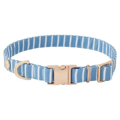 Frisco Fashion Collar Striped for Dogs