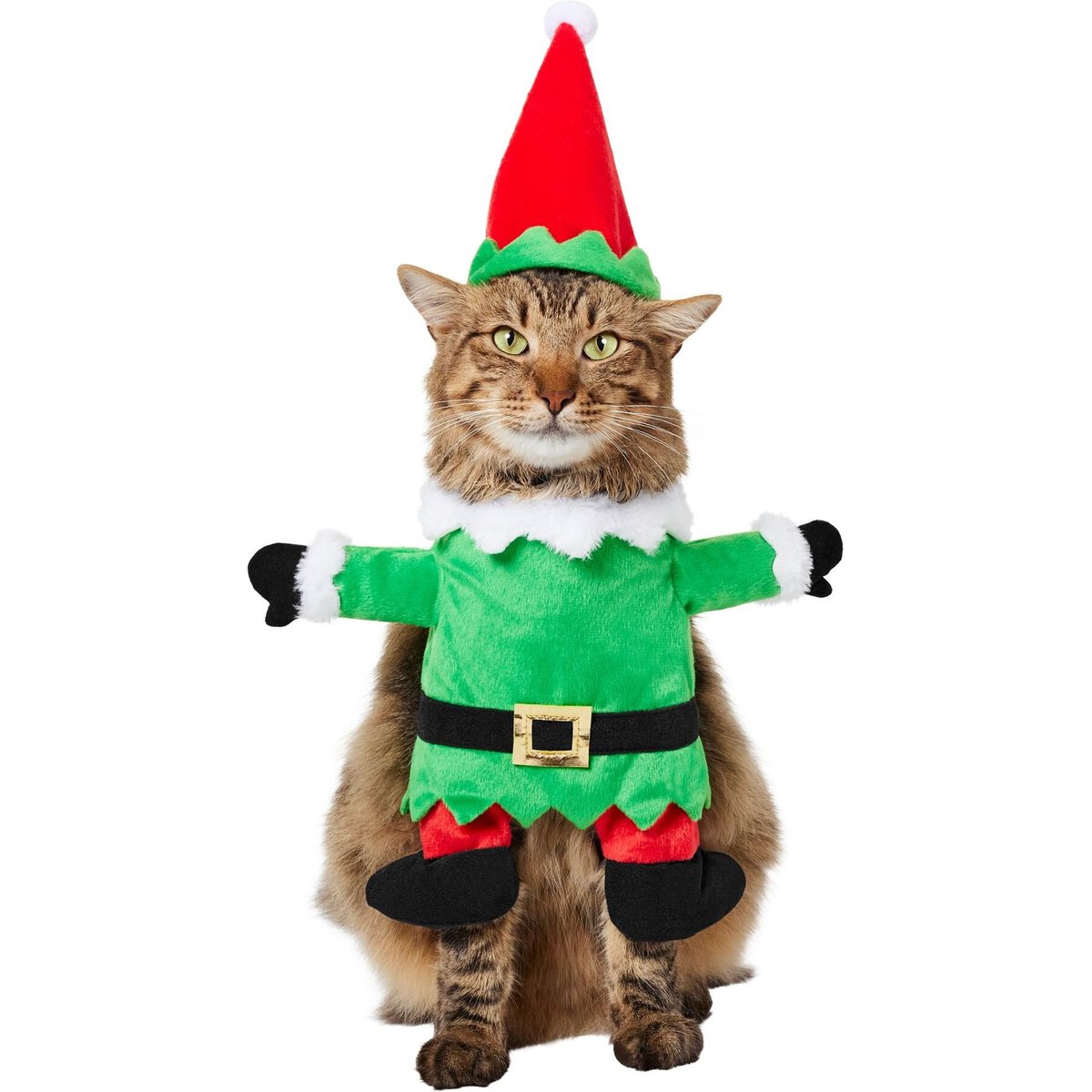 Frisco Front Walking Elf Cat Costume