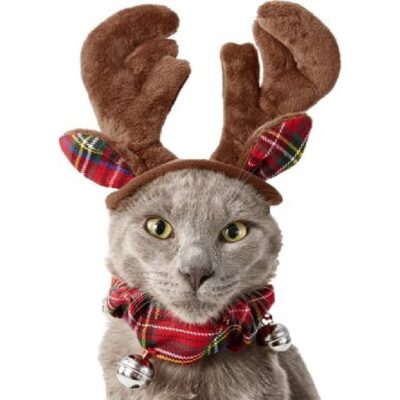 Frisco Antler Headband Pet Costume