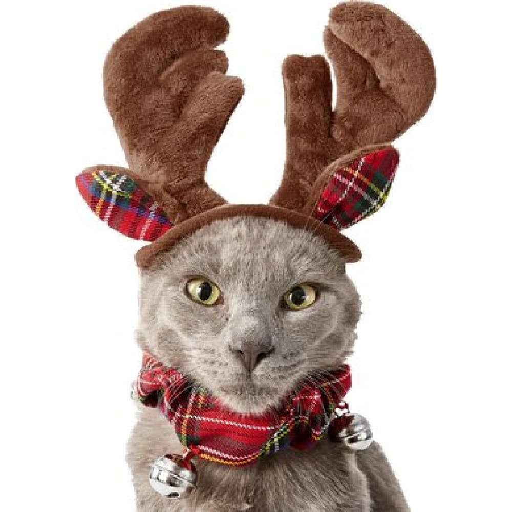 Frisco Holiday Antler Headband & Bell Collar Cat Costume