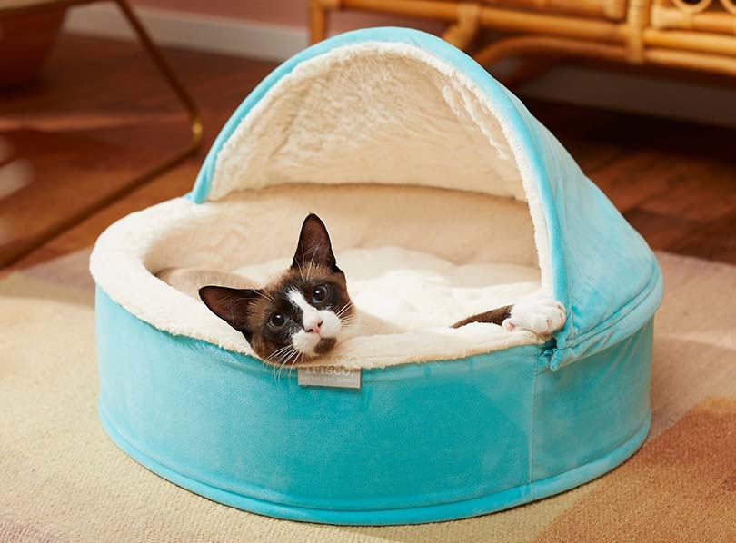 Frisco Hooded Zipper Cat Bedd