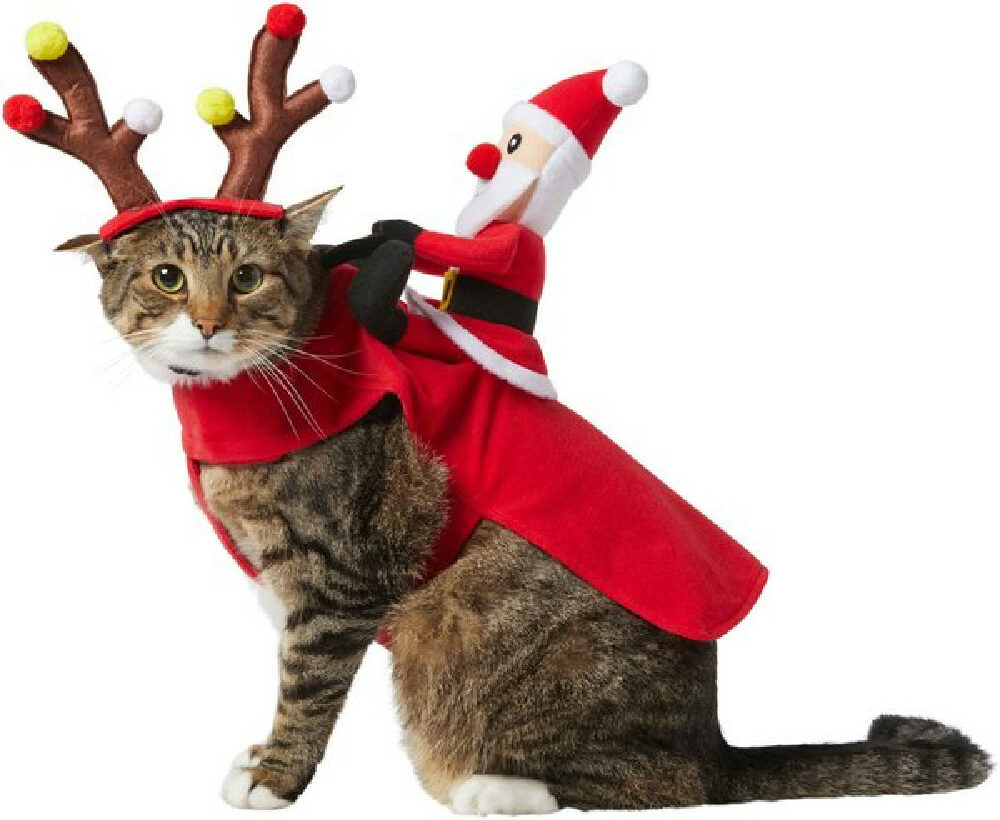 Frisco Santa Rider Dog & Cat Costume