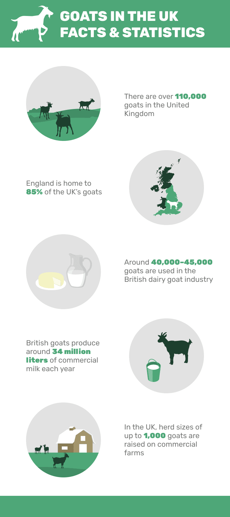 GOATS_IN_THE_UK_FACTS_&_STATISTICS