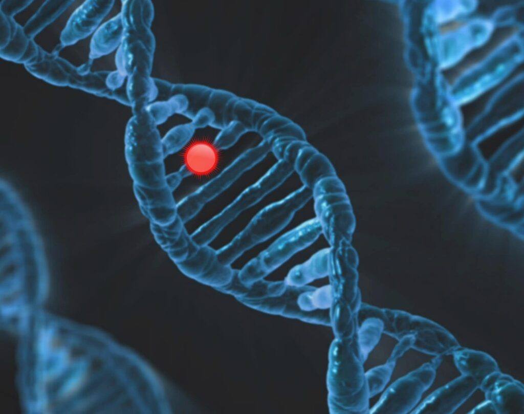 Genetic Mutation