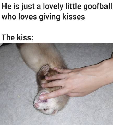 Give Me a Smooch