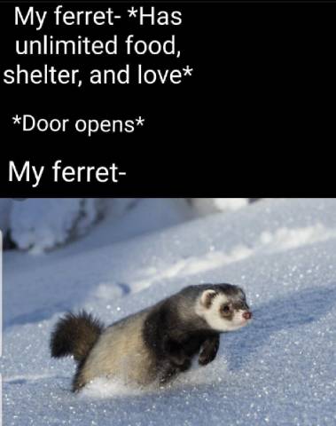 Going on an Adventure