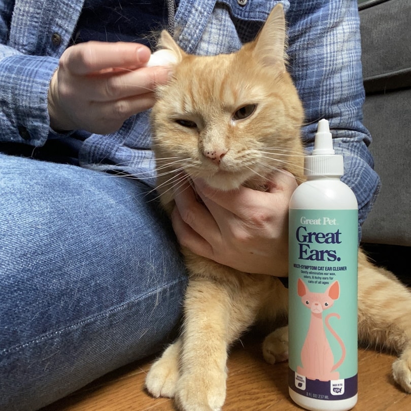 Great Pet Ear Cleaner