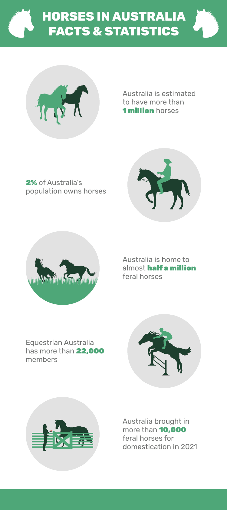 HORSES_IN_AUSTRALIA_FACTS_&_STATISTICS