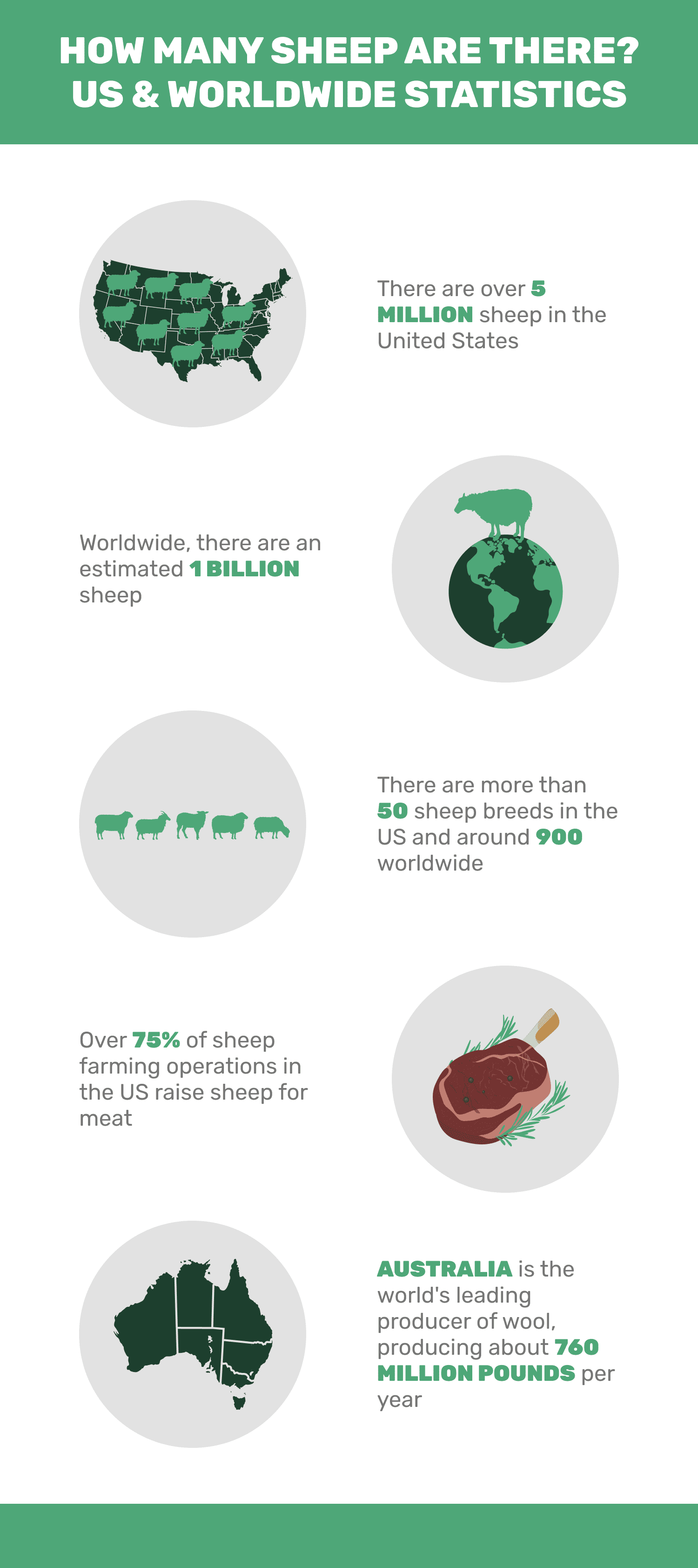 HOW_MANY_SHEEP_ARE_THERE__US_&_WORLDWIDE_STATISTICS