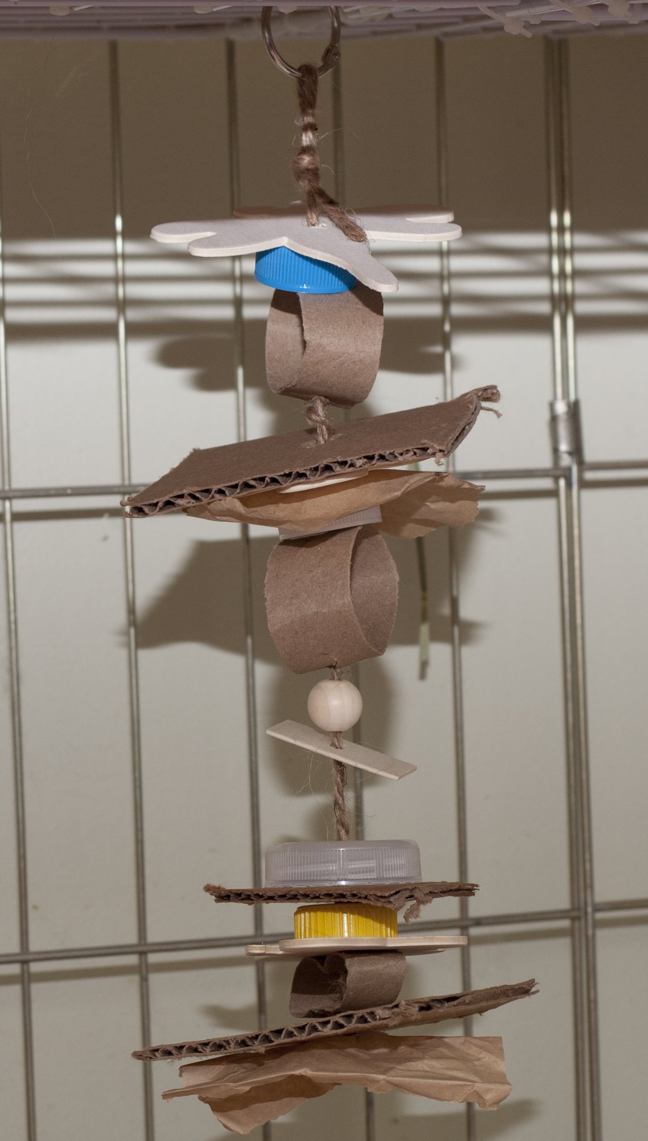 Hanging Chew Toy by budget bunny