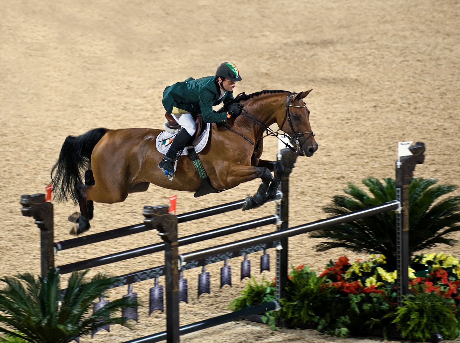 Hanoverian jumps