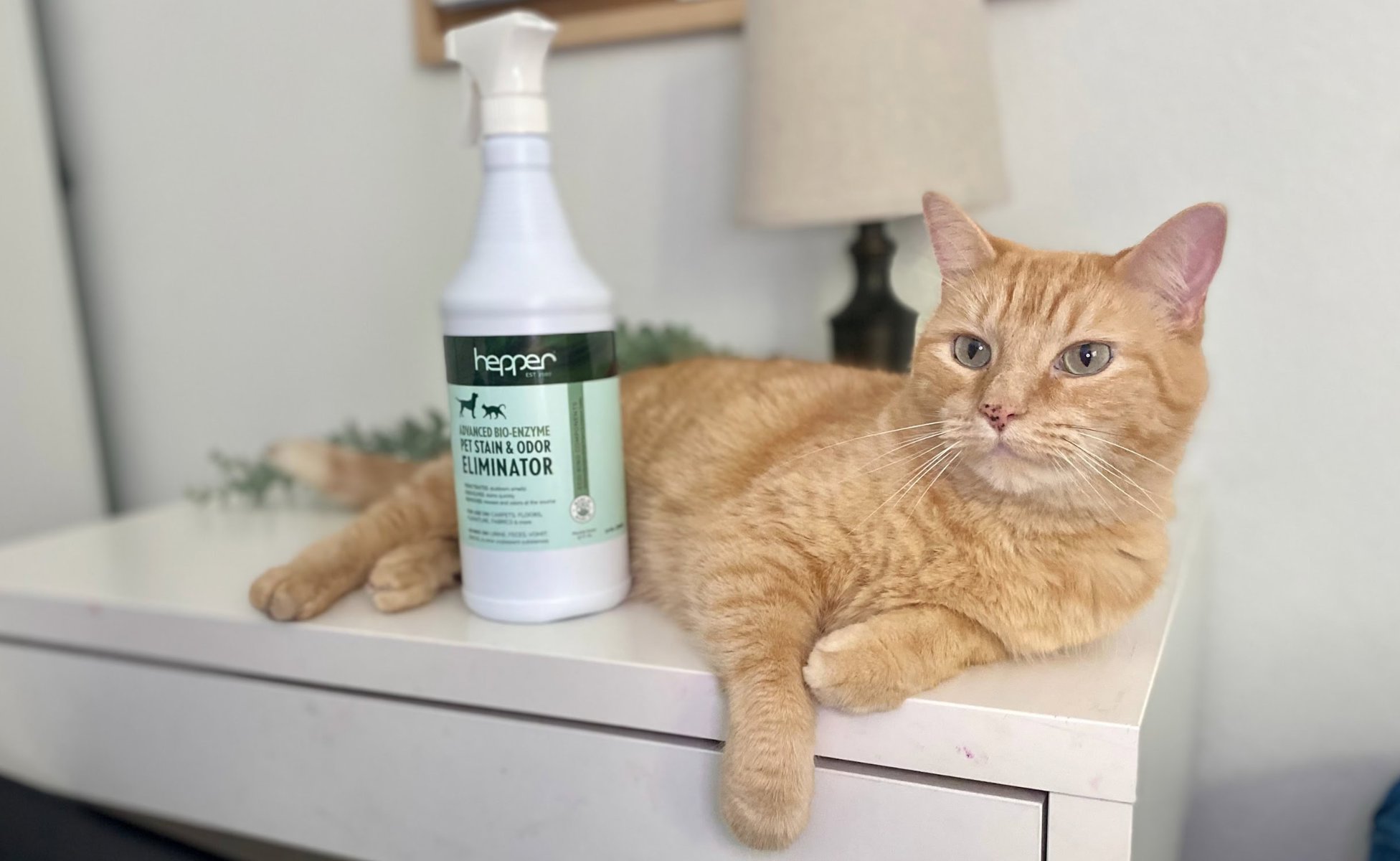 Hepper-Advanced-Bio-Enzyme-Pet-Stain-Odor-Eliminator-Spray