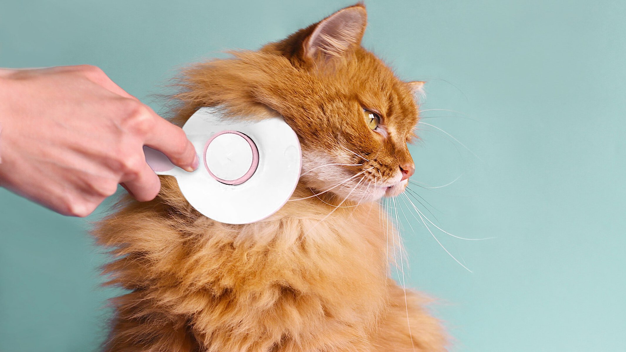 Hepper Cat Brush