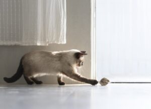 Hepper Furball Toy Set