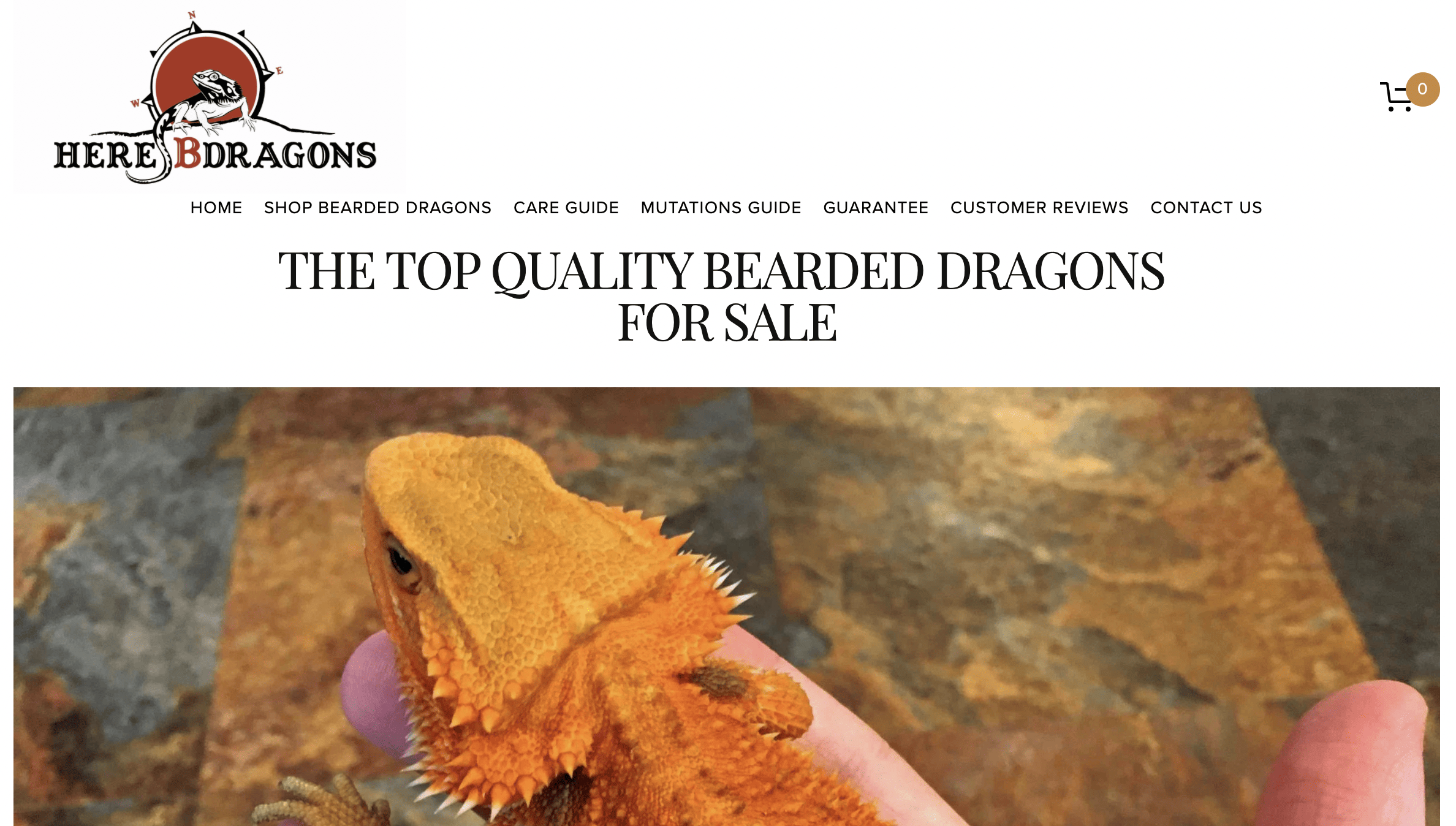 Here B Dragons
