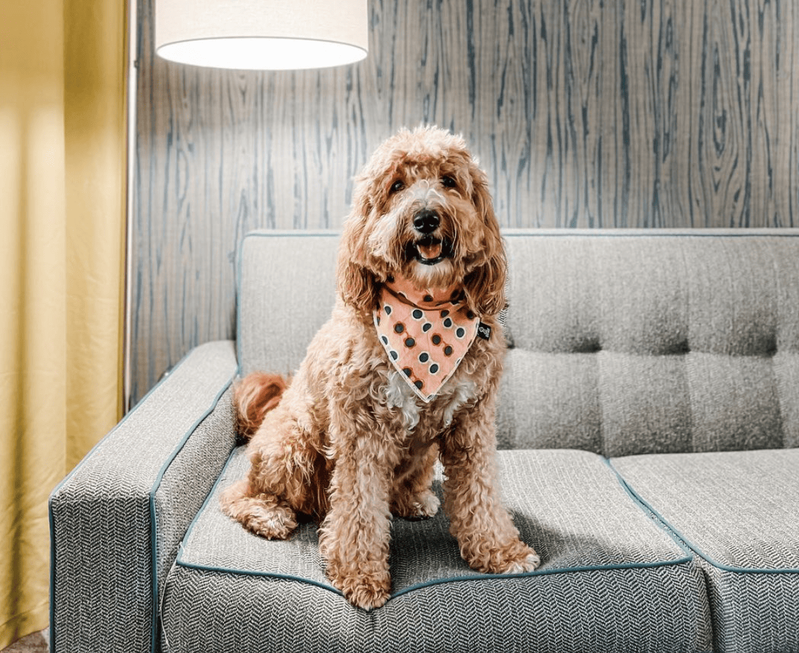 Home2 Suites by Hilton Fredericksburg South