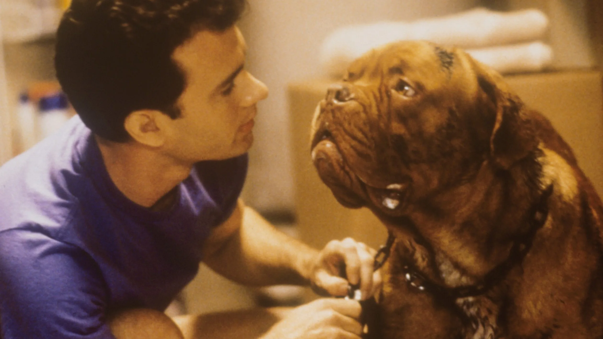 Hooch Dog Touchstone Pictures, The Walt Disney Company
