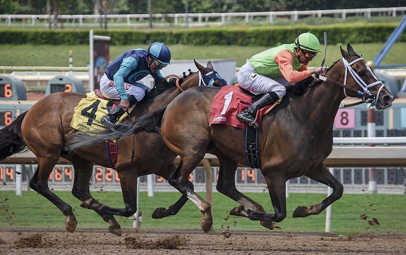 Horse Racing