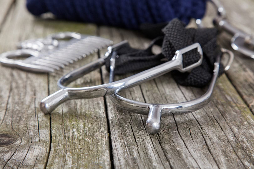 Horse Spurs