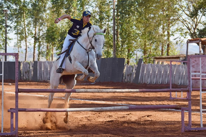 Horse and jockey jumping on track