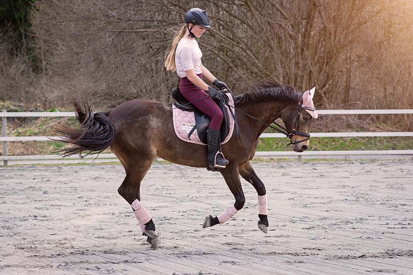 Horseback Riding Conditioning