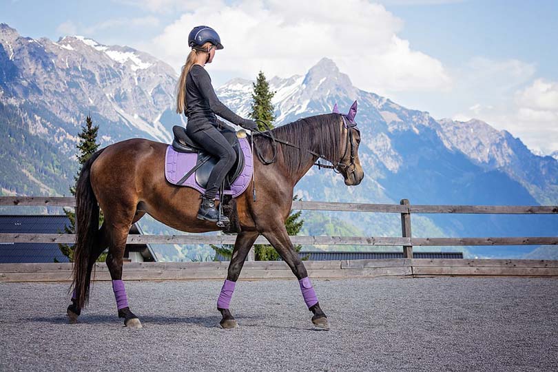 Horseback Riding