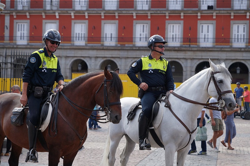 Horses in Law Enforcement