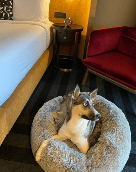 Hotel Indy, Indianapolis