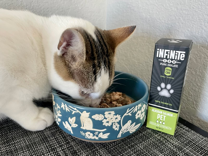 Infinite CBD Pet CBD Tincture - makoa eating food with CBD tincture