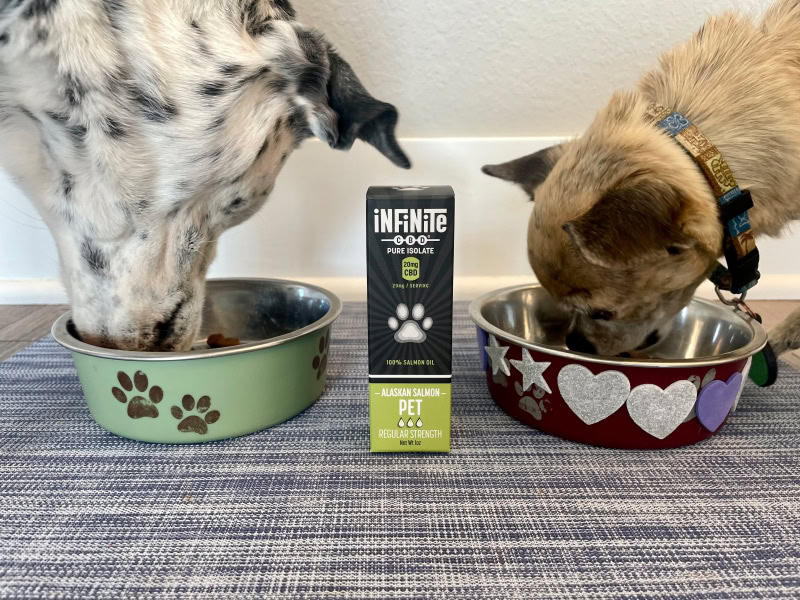 Infinite CBD Pet CBD Tincture - ragz and papyrus eating food with CBD tincture