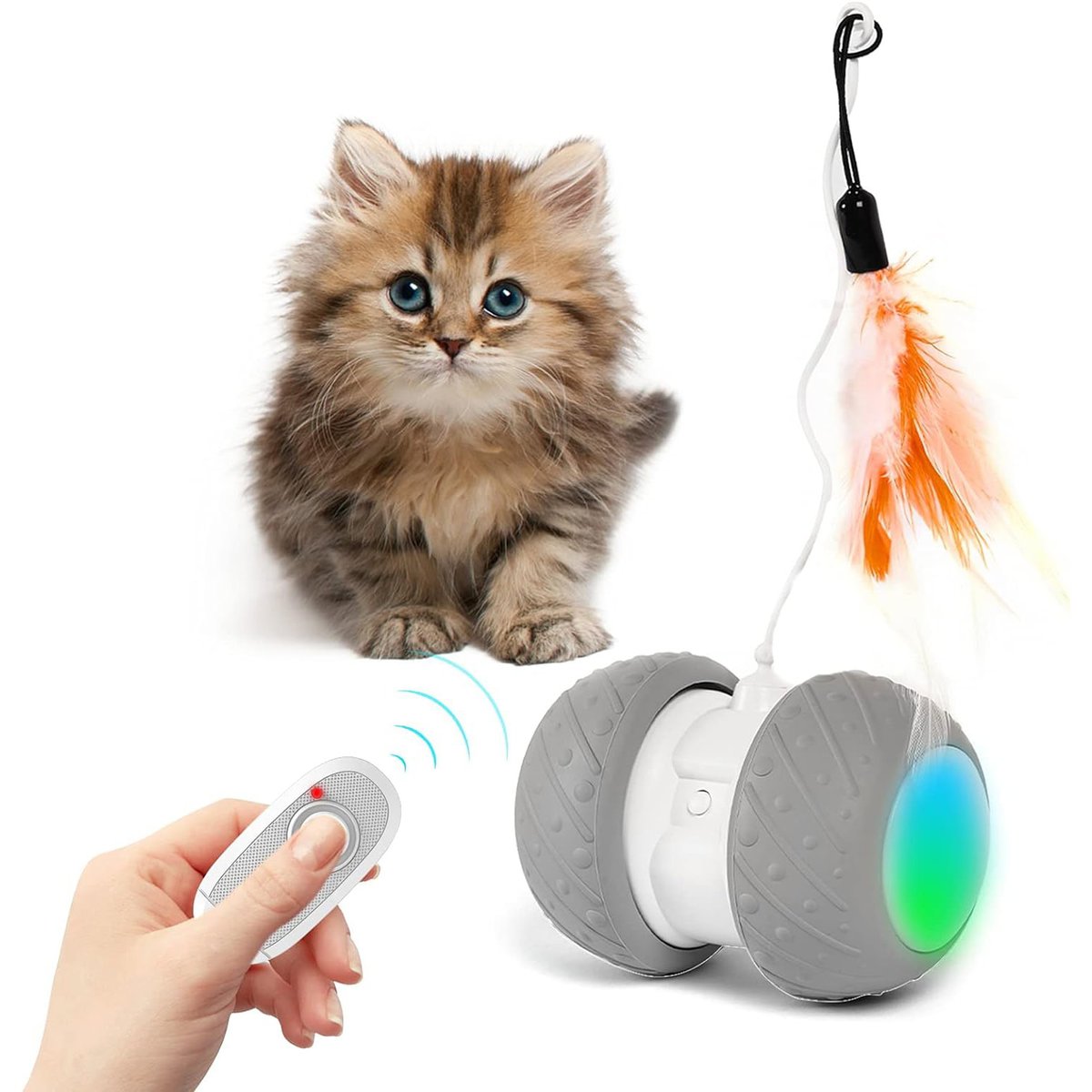 Interactive Cat Toys for Indoor Cats New