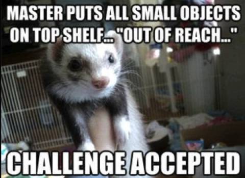 It’s Not a Challenge…