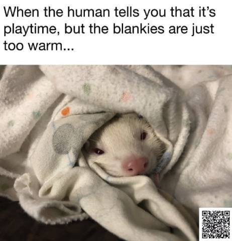 Just Five More Minutes