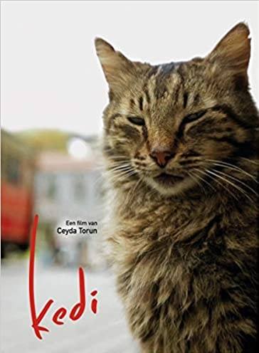 Kedi - B0714FJ4RZ
