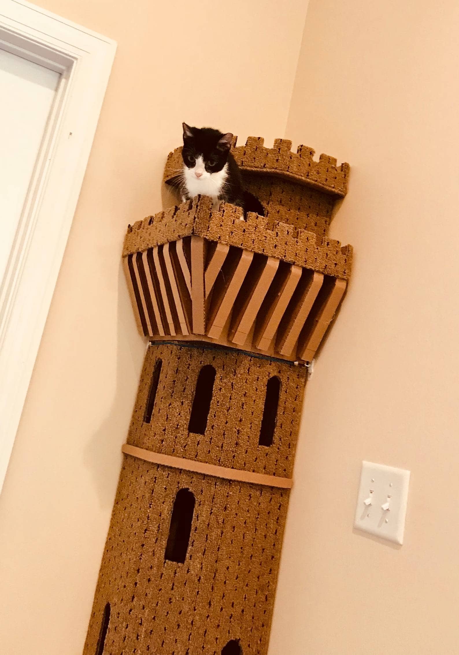 King of the Hill by etsy