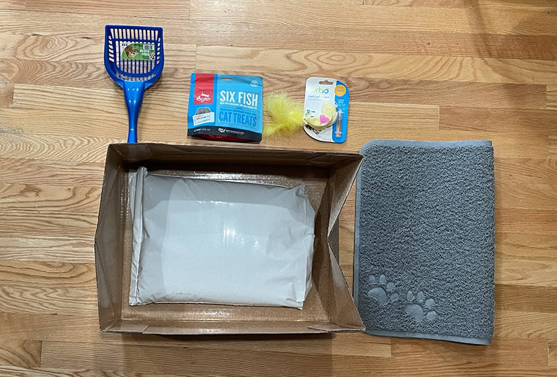 Kitty Poo Club Clay Litter Box with accessories and treats
