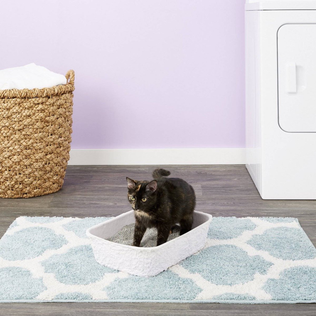 Kitty's WonderBox Disposable Litter Box (1)