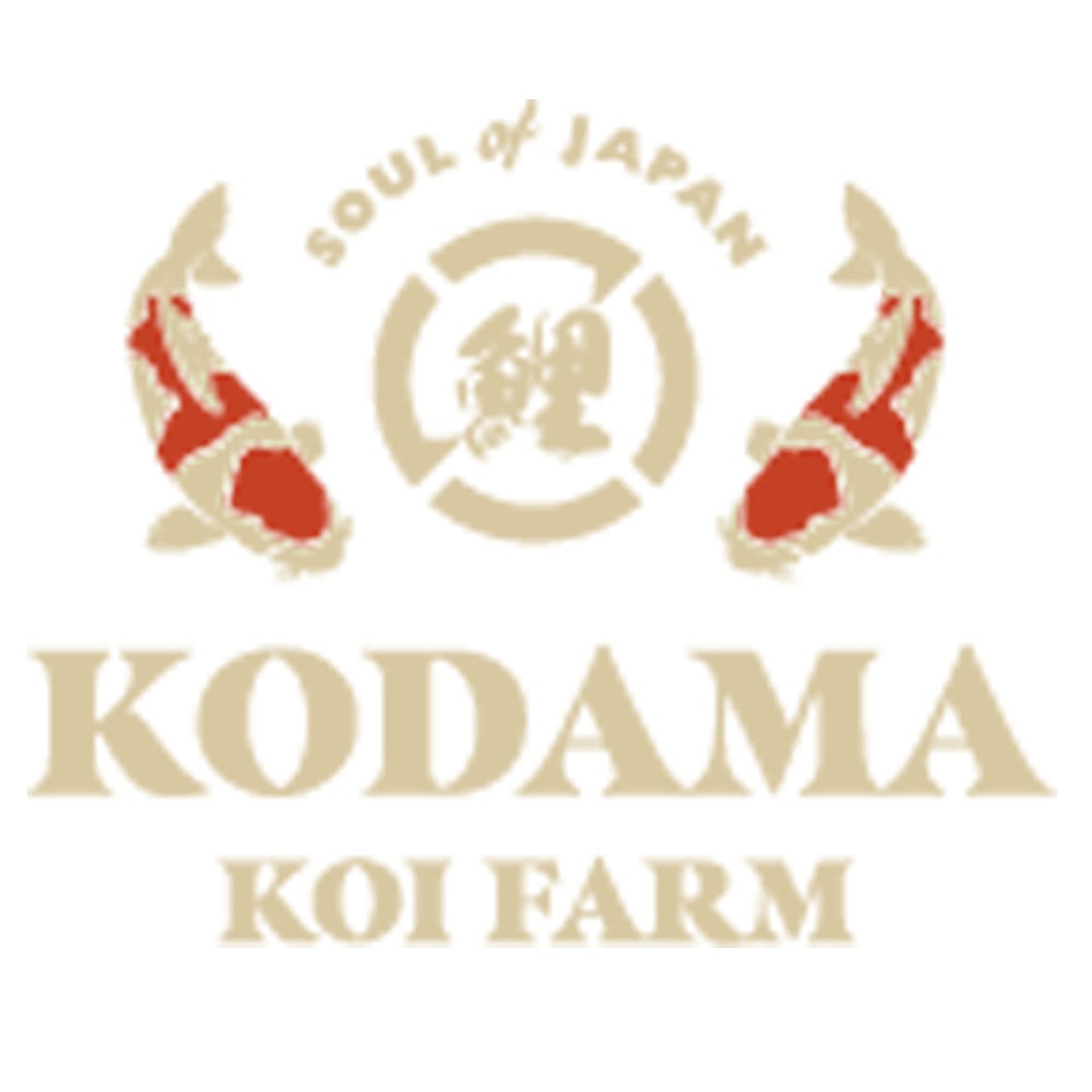 Kodama Koi Farm