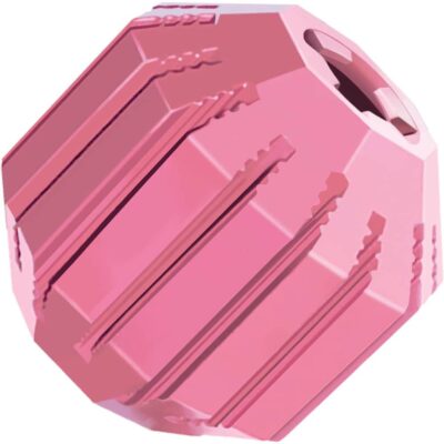 Kong Puppy Activity Ball