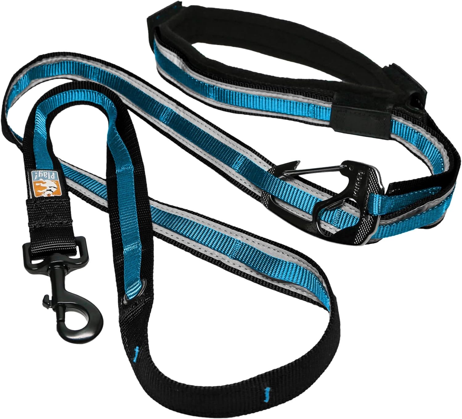 Kurgo Quantum Leash