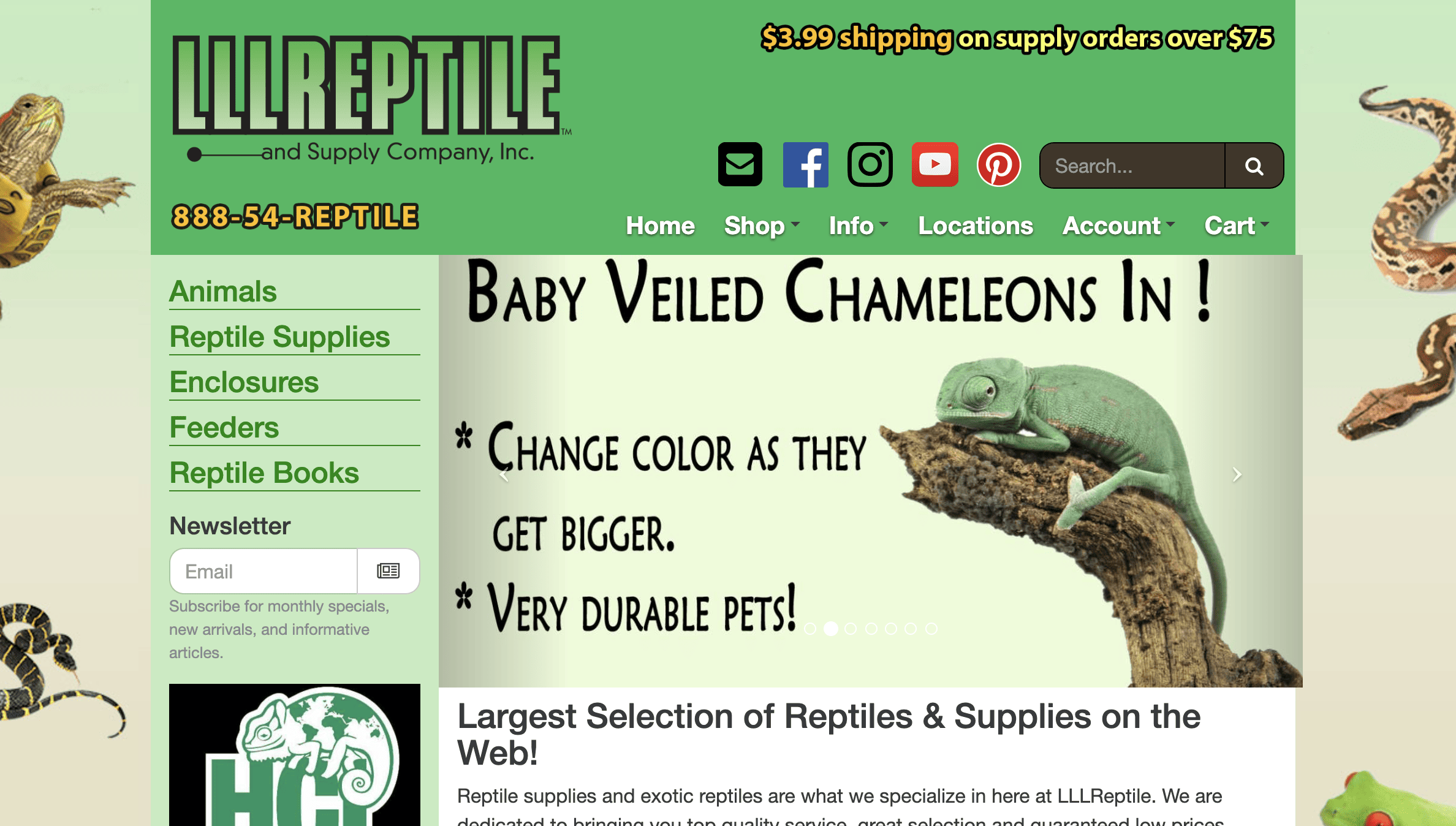 LLL Reptiles