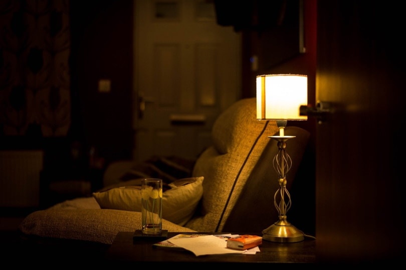 Lamp shade left on for the night