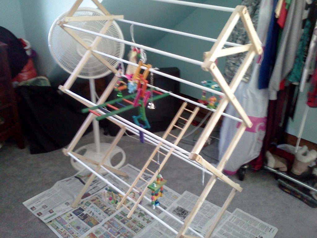 DIY Laundry Rack Bird Gym