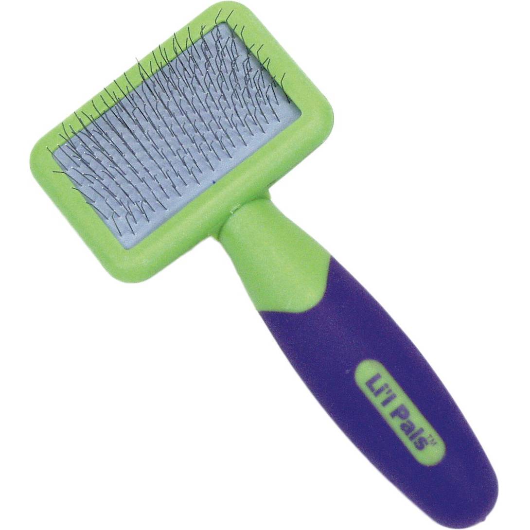 Li’l Pals Coated Tips Brush