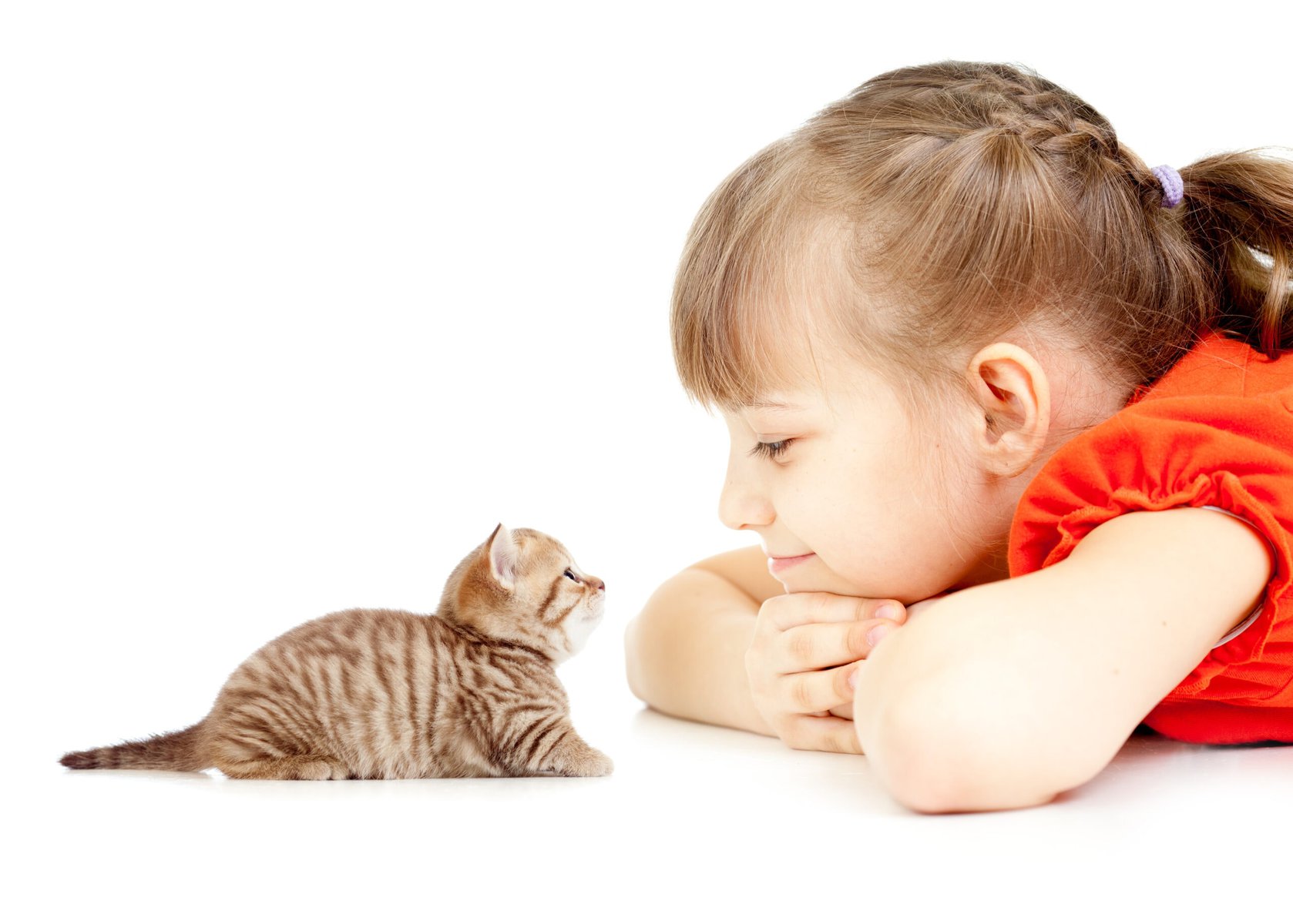 Little girl with kitten face to face