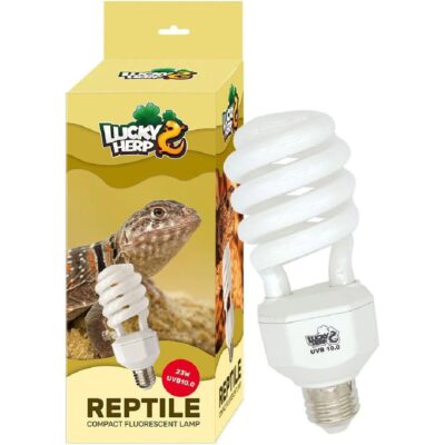 LUCKY HERP UVA UVB Reptile Light