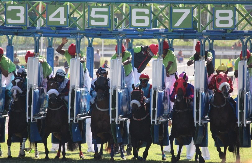 Maiden Horse Race_Piqsels