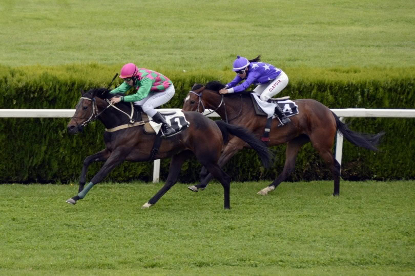 Maiden Special horse race_Piqsels