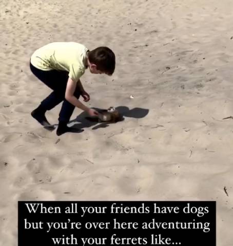 Man’s Real Best Friend
