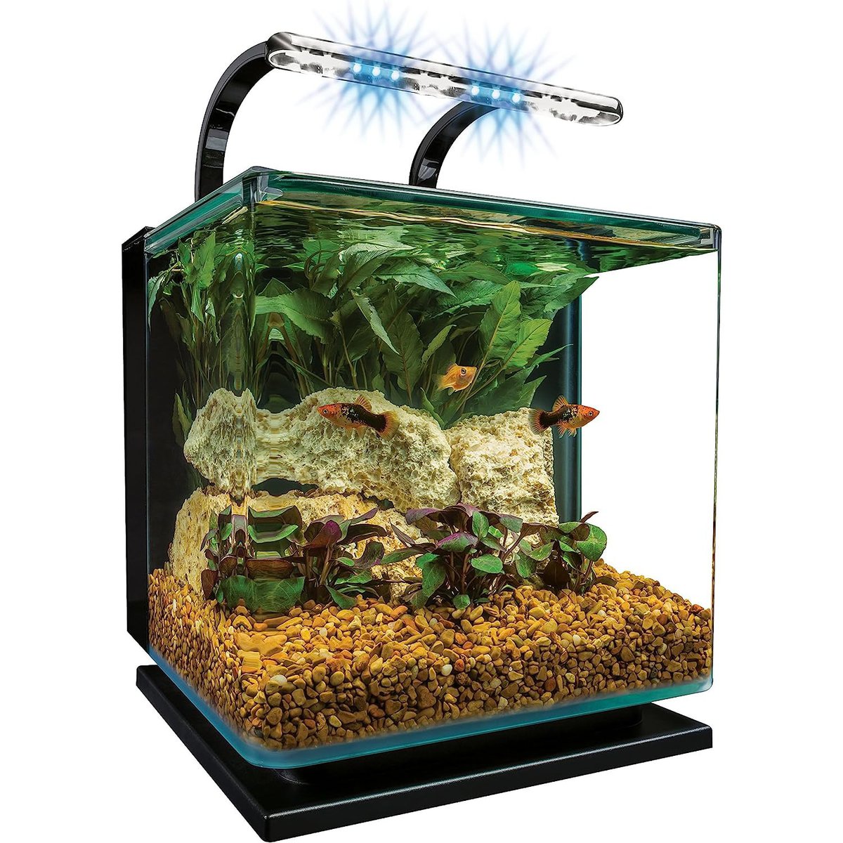 MarineLand Contour Glass Aquarium Kit with Rail Light